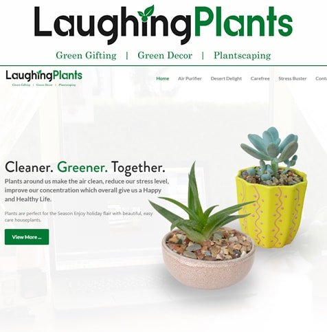 Ecommerce web design for plant selling firm
