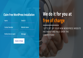 Free WordPress Theme Installation
