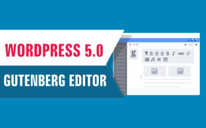 WordPress 5.0 “Bebo” – Say Hello to the New Editor